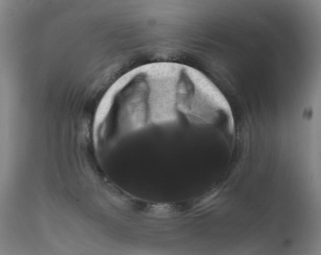 X0000111120127200907211059