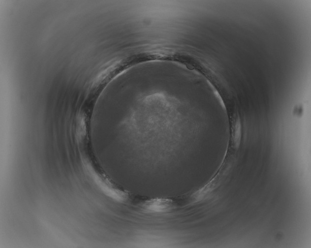 X0000111120128200907211059