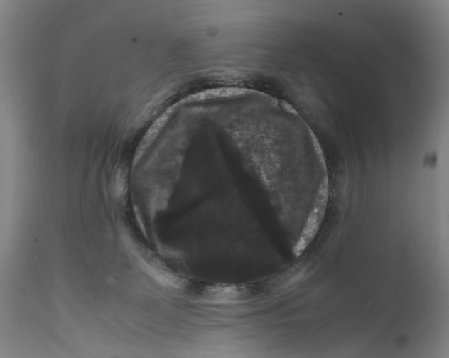 X0000111120131200907211059