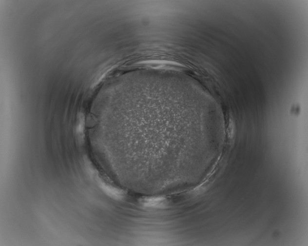 X0000111120132200907211059