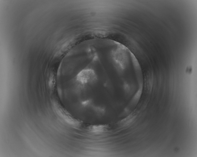 X0000111120134200907211059