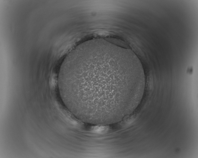 X0000111120135200907211059