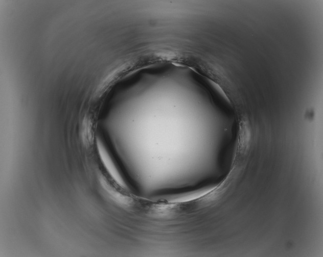 X0000111120136200907211059