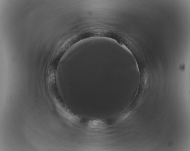 X0000111120137200907211059