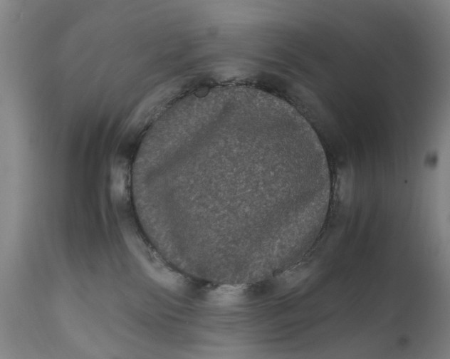 X0000111120138200907211059