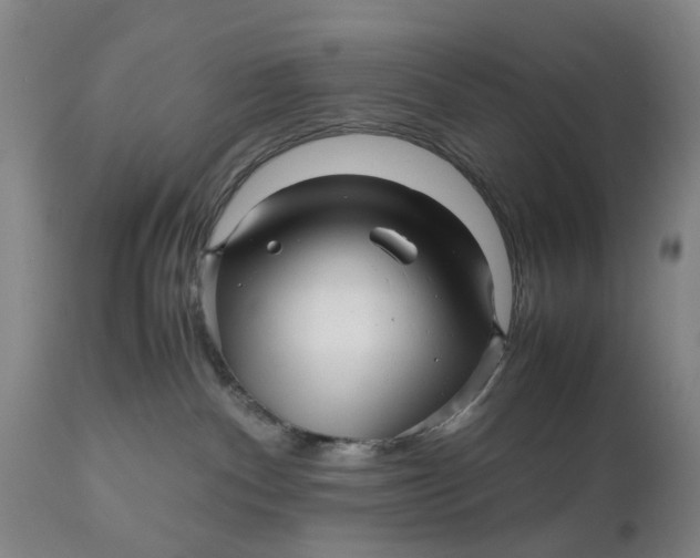X0000111120140200907211059
