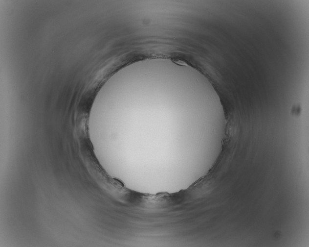 X0000111120141200907211059