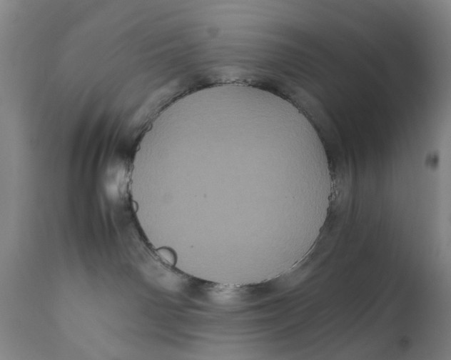 X0000111120142200907211059