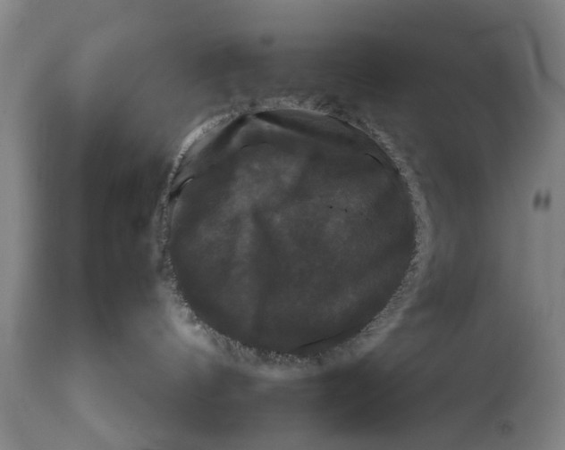 X0000111120144200907211059
