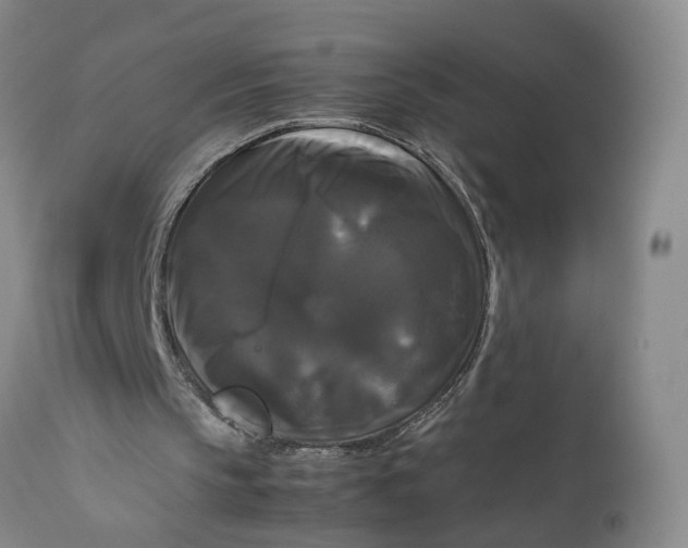 X0000111120145200907211058