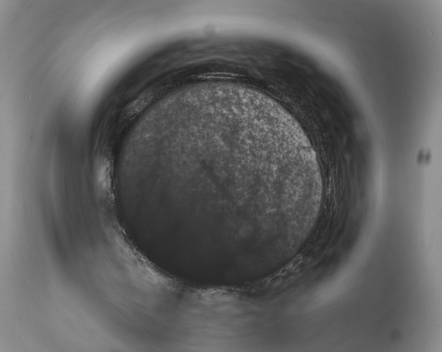 X0000111120146200907211058