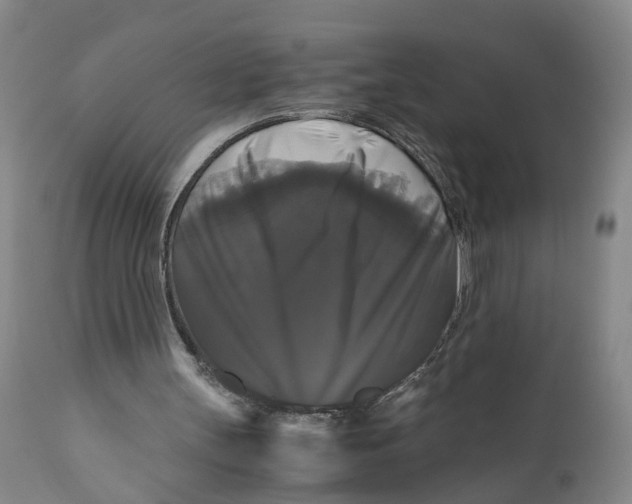 X0000111120147200907211058