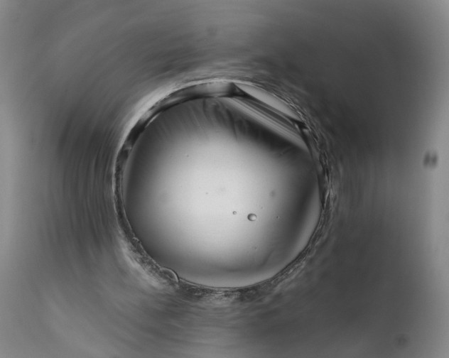X0000111120148200907211058