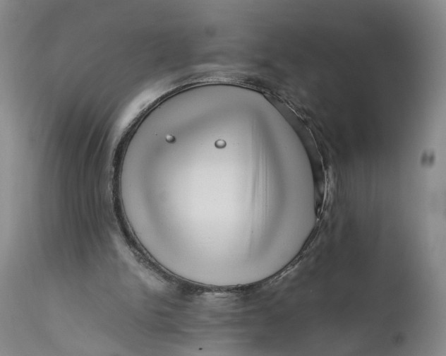 X0000111120150200907211058