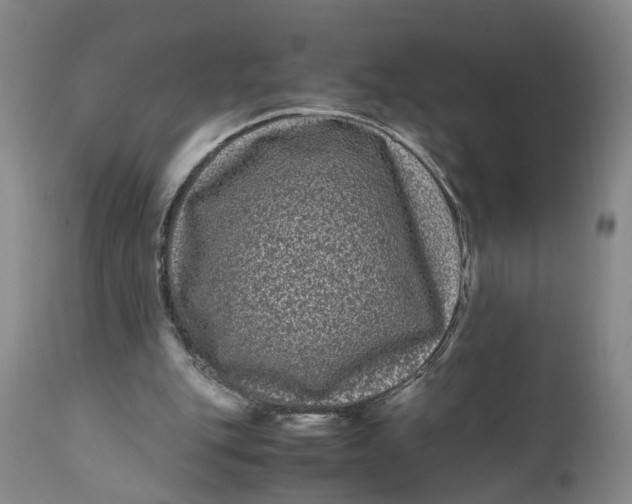 X0000111120151200907211058