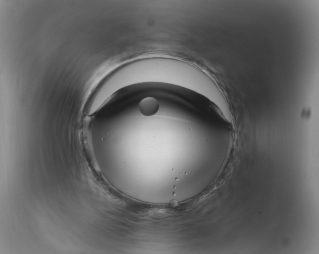X0000111120152200907211058