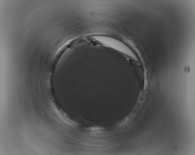 X0000111120154200907211058