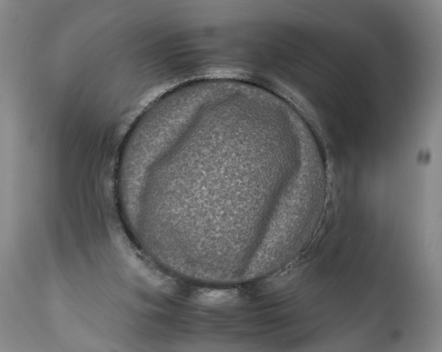 X0000111120155200907211058