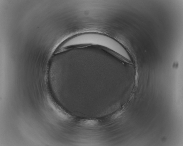 X0000111120156200907211058