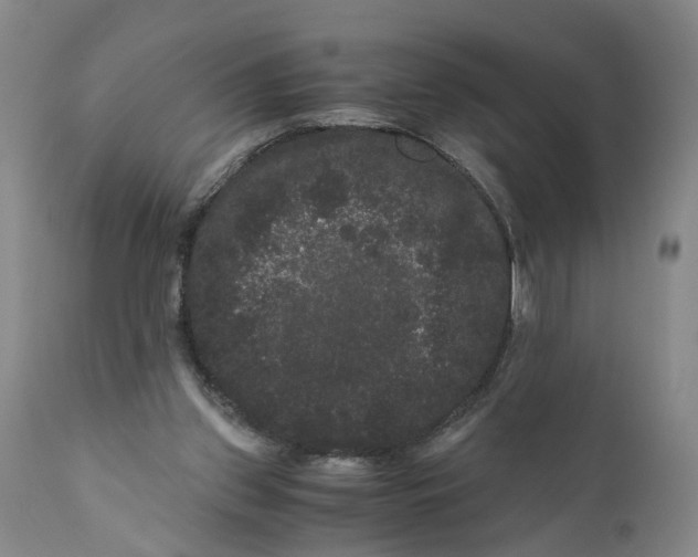 X0000111120157200907211058