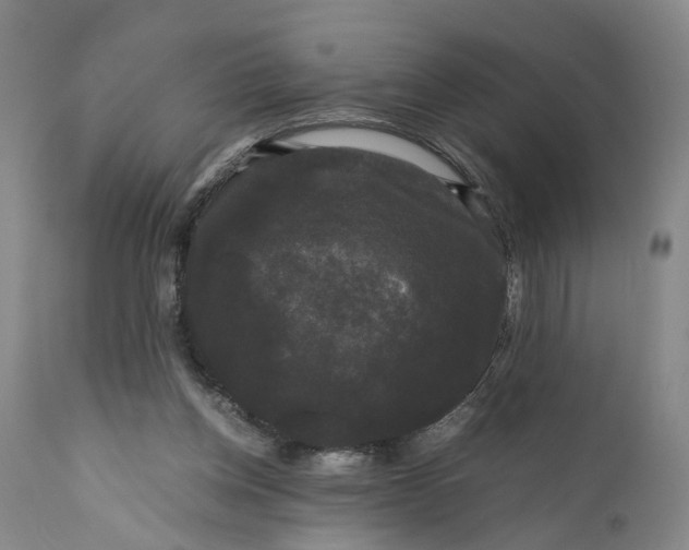 X0000111120158200907211058