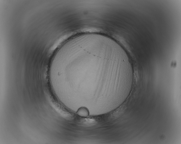 X0000111120159200907211058
