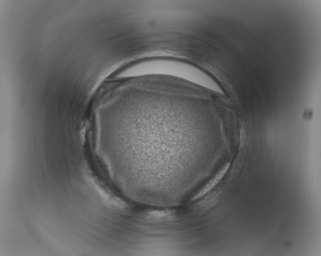 X0000111120160200907211058