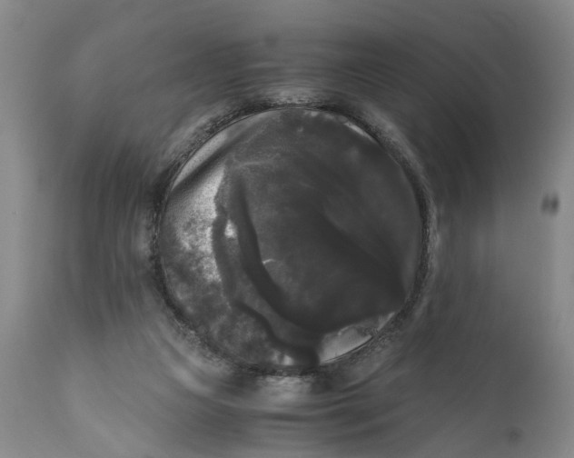 X0000111120161200907211058