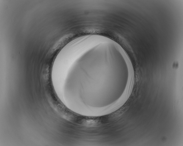 X0000111120163200907211058