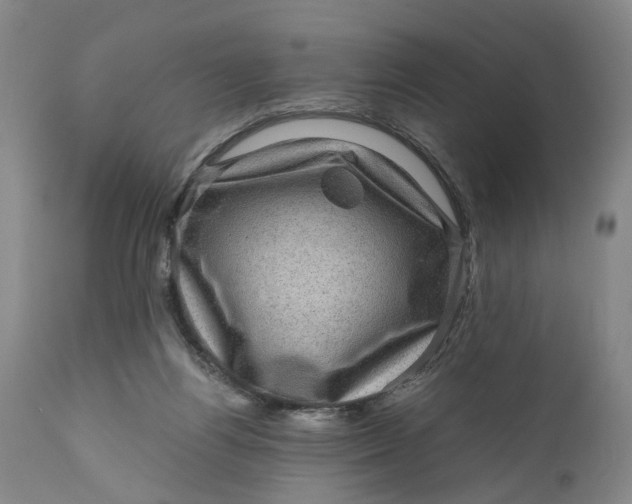 X0000111120164200907211058