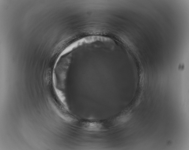 X0000111120165200907211058