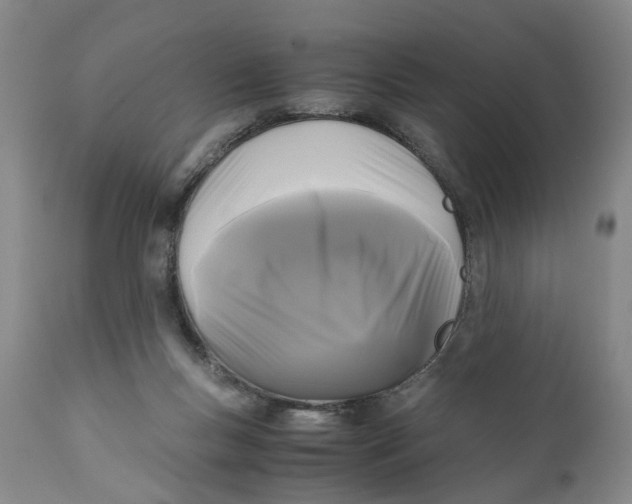 X0000111120167200907211058