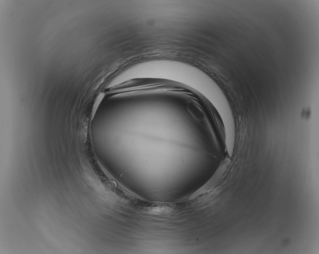 X0000111120168200907211058