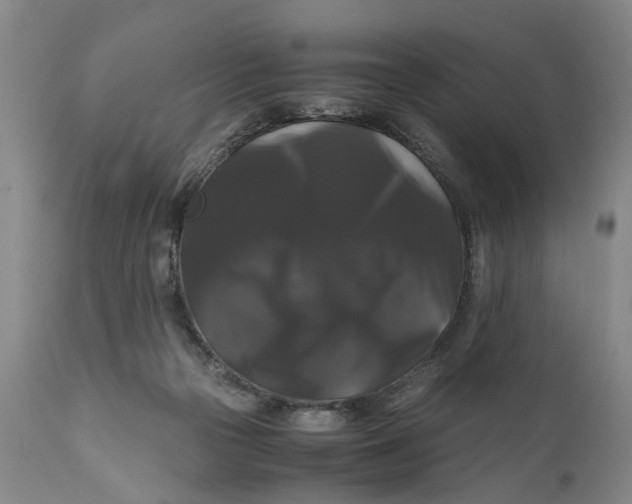 X0000111120169200907211058