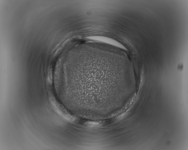 X0000111120170200907211058