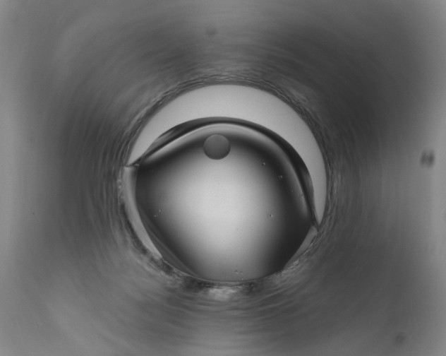 X0000111120172200907211058