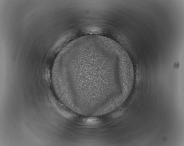 X0000111120173200907211058