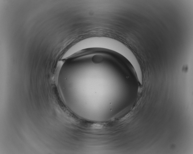 X0000111120176200907211058
