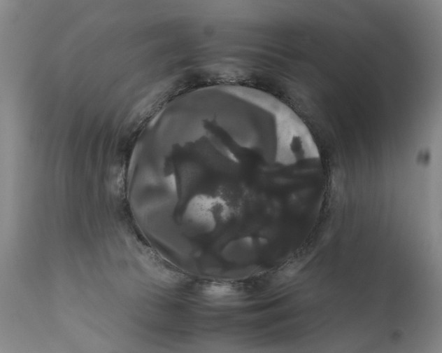 X0000111120177200907211058