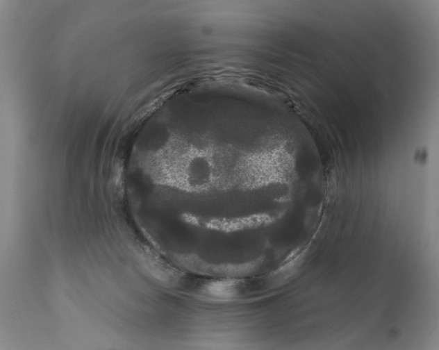 X0000111120178200907211058