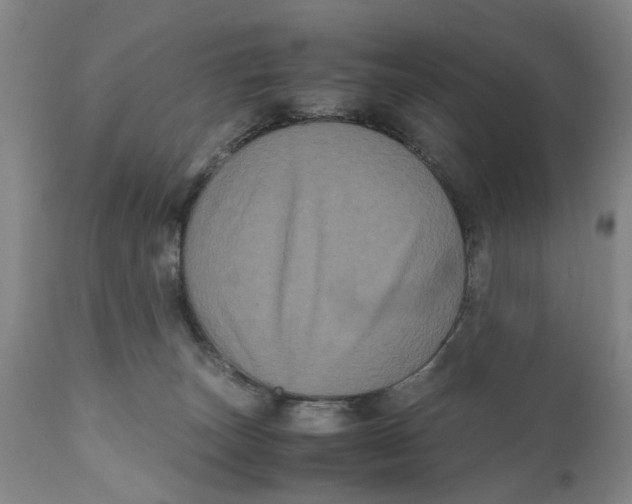 X0000111120179200907211058