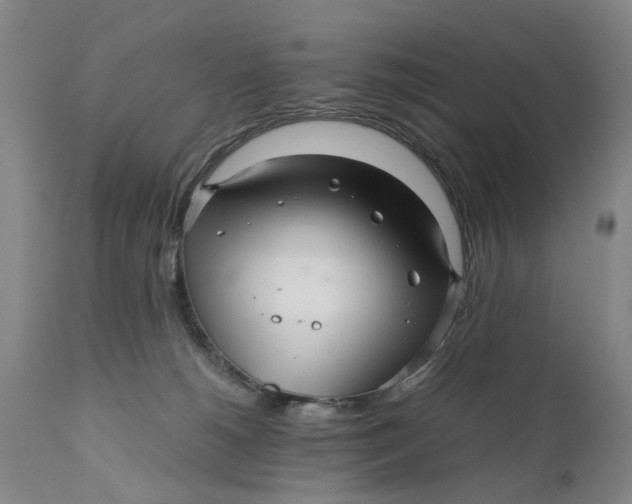 X0000111120180200907211059