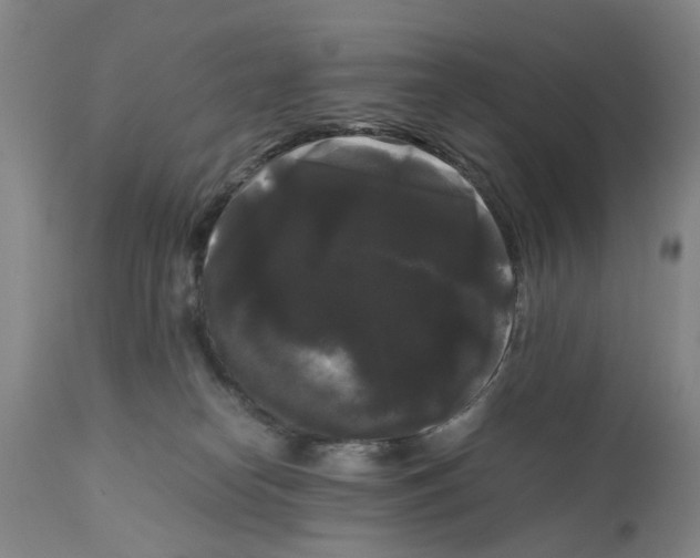 X0000111120182200907211059