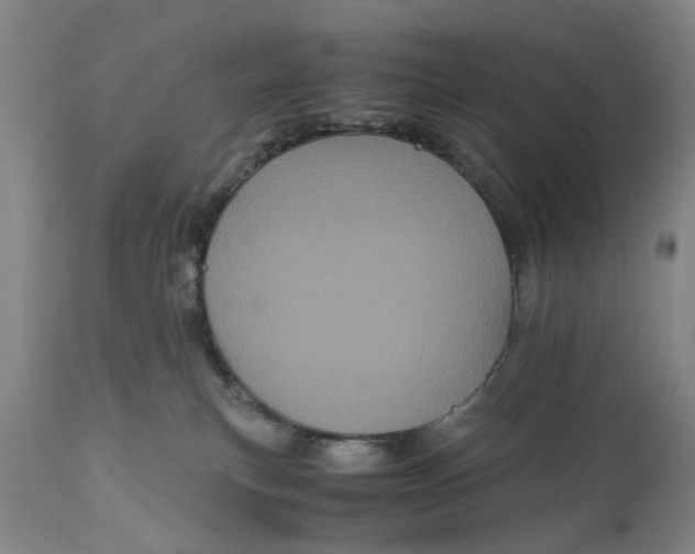 X0000111120183200907211059