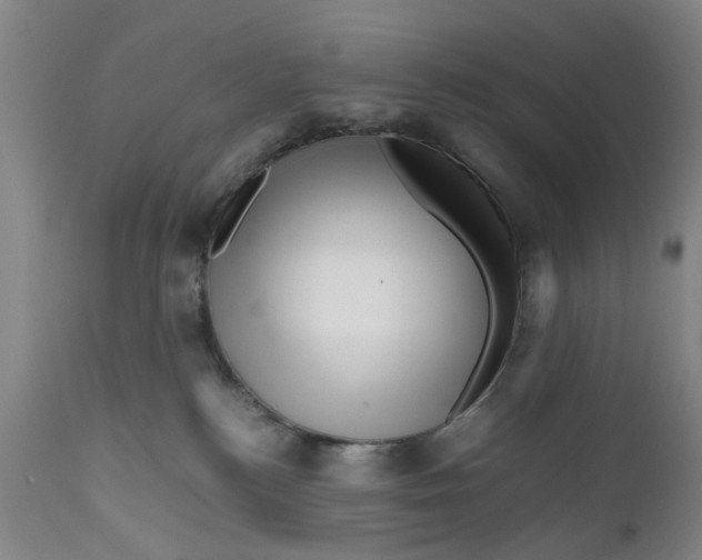 X0000111120184200907211059