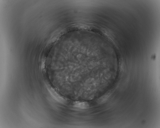 X0000111120185200907211059