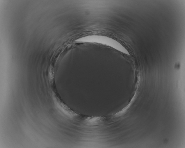 X0000111120186200907211059