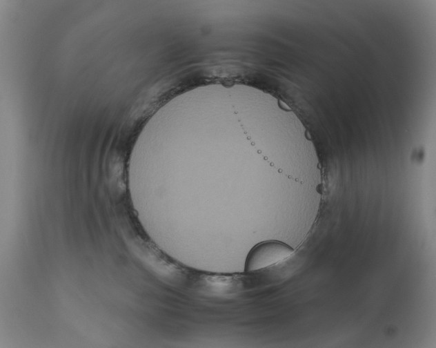 X0000111120187200907211059