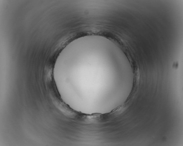 X0000111120188200907211059