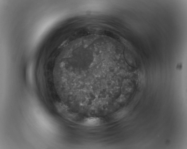 X0000111120189200907211059
